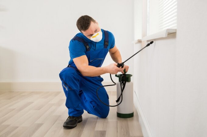 How a Professional Pest Control Company Is More Capable Of Treating and Managing the Pest Infestation Effectively