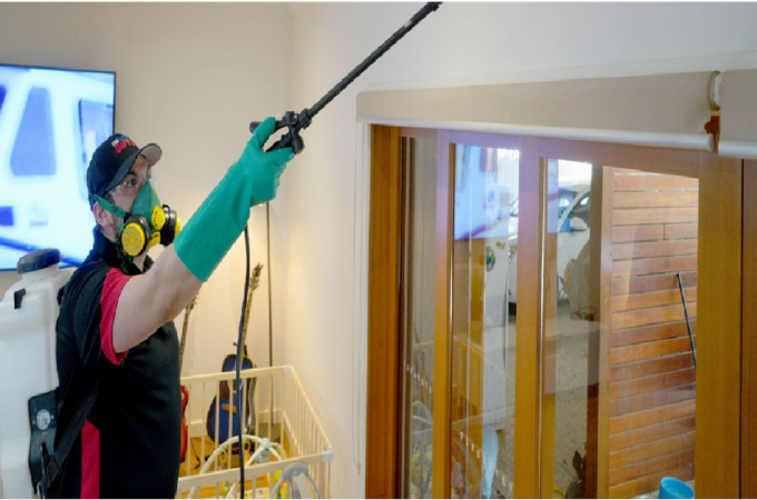 Use Parasite Control Solutions If You Intended To Get Rid Of Residential Insects