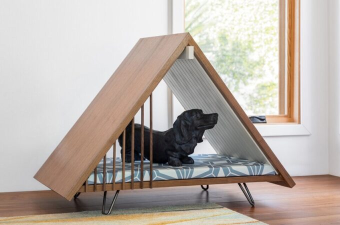 Making Your New Home Pet-Friendly: Tips and Tricks