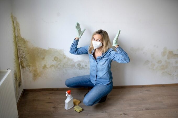What Precautions Should I Take to Prevent Mold After a Flood