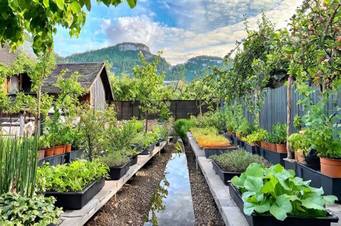 4 Exciting International Garden Trends Reaching The UK