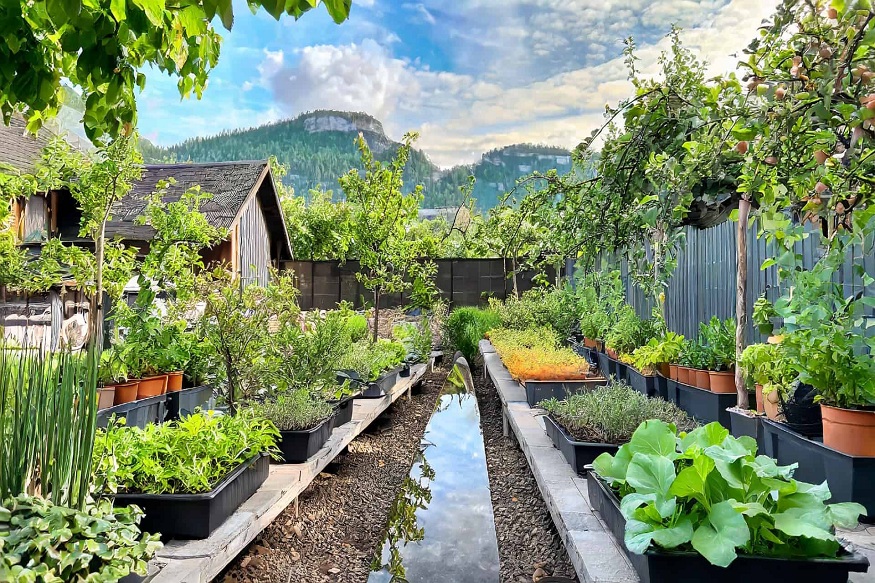 International Garden Trends