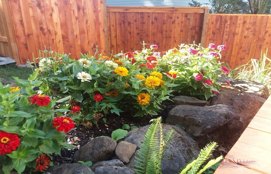 Landscaping for Bees
