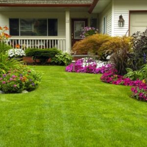 Denver landscaping company