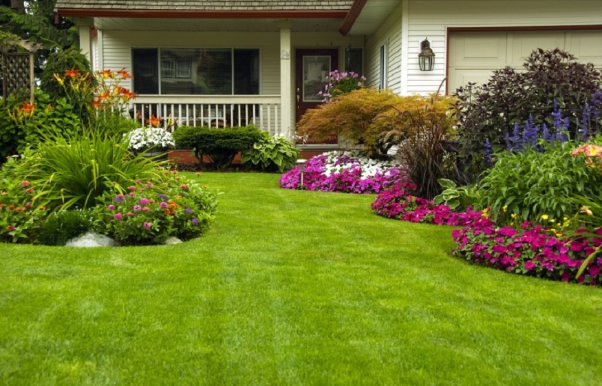 Denver landscaping company