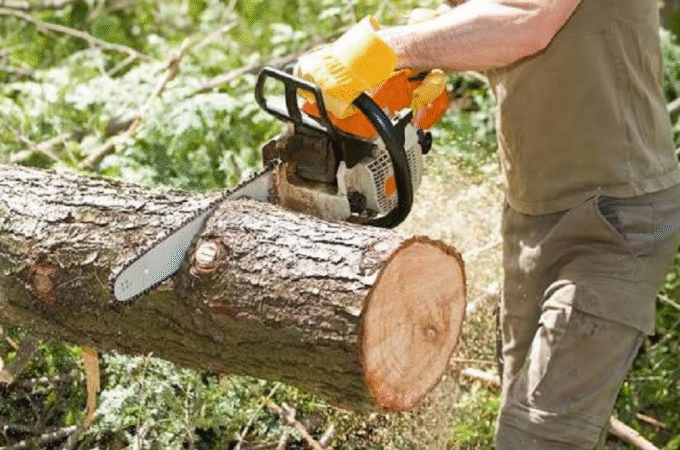tree maintenance Denver,